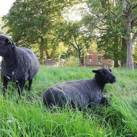 'T Pekelhuis - Vakantiehuisje Op Boerderij Huize Blokland Hem Zewnętrze zdjęcie