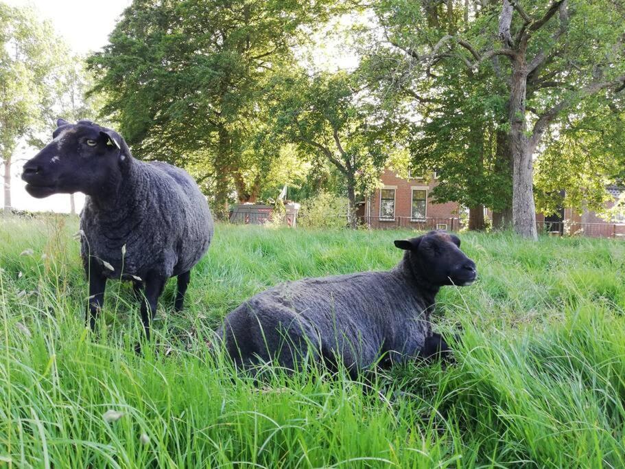 'T Pekelhuis - Vakantiehuisje Op Boerderij Huize Blokland Hem Zewnętrze zdjęcie